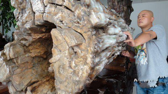 亿年虫王树化玉：一条虫子十万元