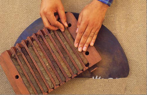 看雪茄卷制大师制作卷烟的全过程